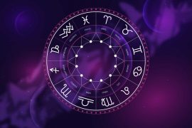 Astrology Wheel Guide The Astrological Houses Individualogist