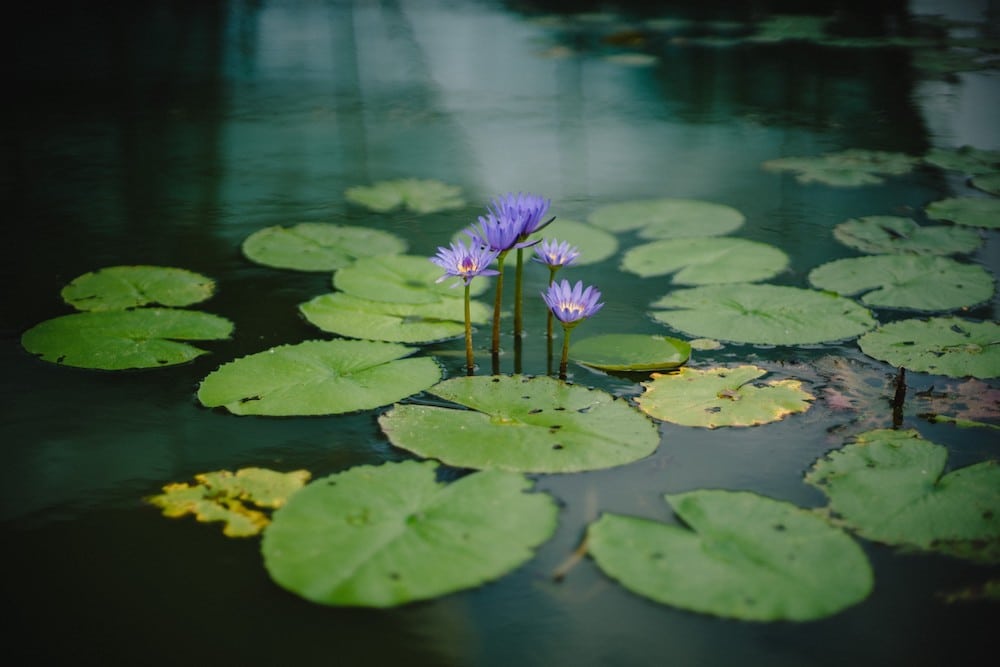 3 Ways That Unlocking Your ‘Self’ Will Bring You Peace