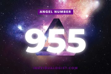 angel number 955 featured