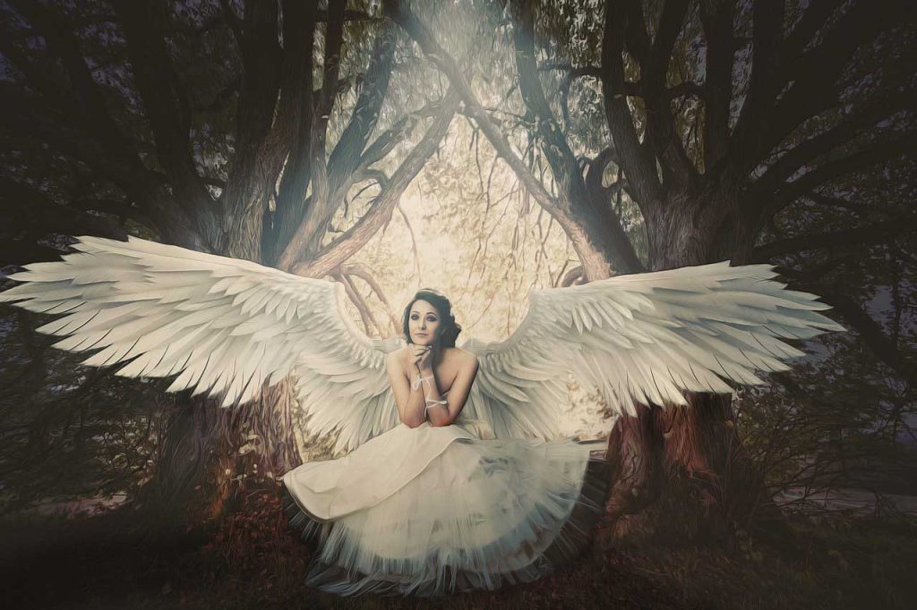 nature earth angel